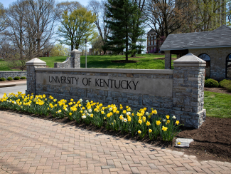 A short stonewall engraved with University of Kentucky that has yellow tulips planted under it.