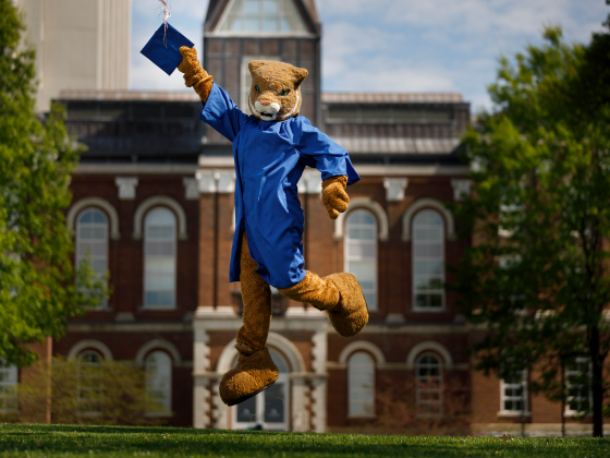 The wildcat mascot in a graduation gown jumping into the air holding up a graduation cap..