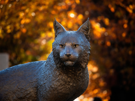 A bronze statue of a wildcat with fall colored leaves in the background.